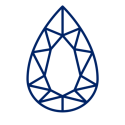 Logo of the Drizzle Programming Language